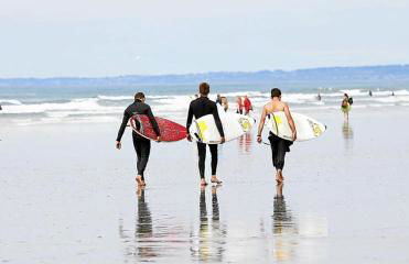 Les coquilles la Torche - Photo 19