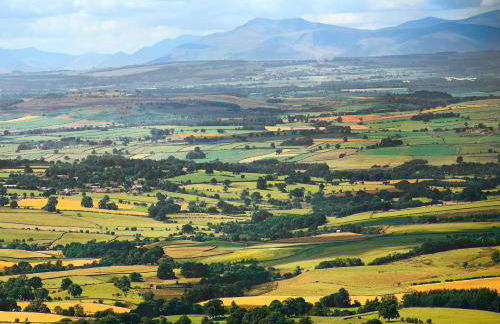 The Old Buttress at Rotherhope Towers - Foto 22