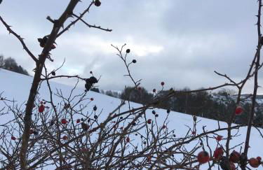 Ferienhaus Schneeweiß - Photo 16