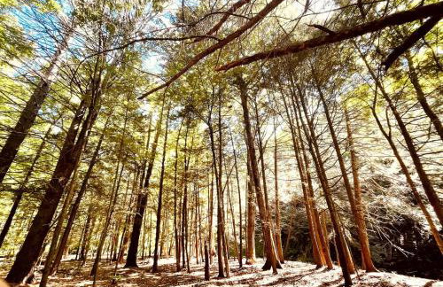 Romantic Glamping Getaway in a Pet Friendly Caravan, Ideal to Explore Hudson Valley - Foto 16