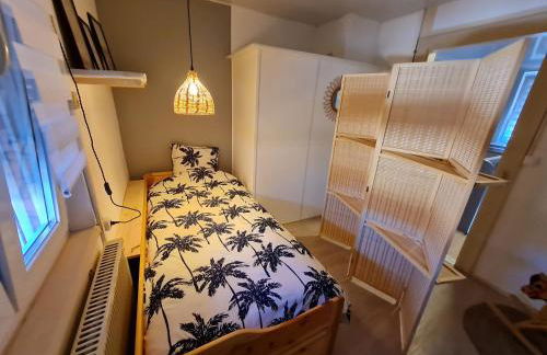 Les Chouchous du Ried 2 - Foto 12