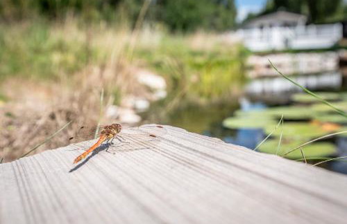 The Cabin, Ufford - Foto 36