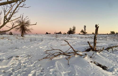 Ferienwohnung Kräutergarten - Foto 26