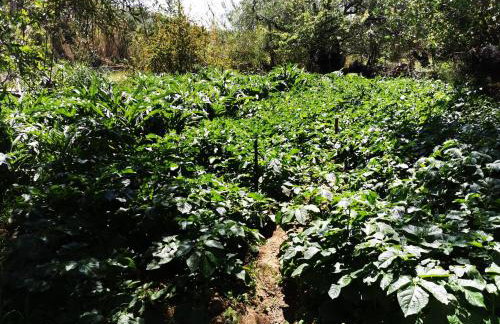 Nikitas Apartment - Foto 8