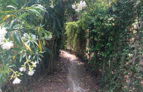 Villa Serena - Photo 30