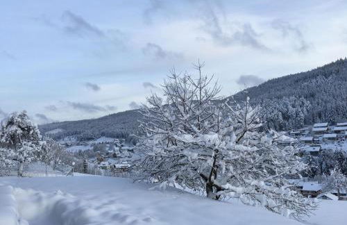 Ferienanlage Freyenhöfe - Foto 10
