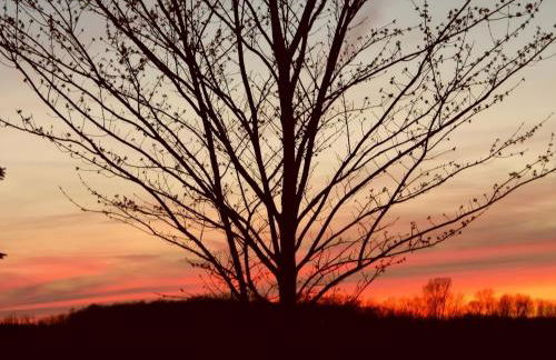 The Perfect Wine Trails Location - The Garden Suite - Foto 21