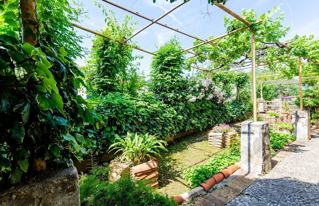 Guest House Ivana - Foto 28