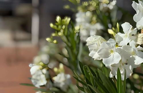 Apartamento em ótima avenida de Araxá - Foto 19