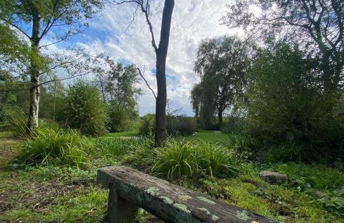 Dairy Farm - Foto 36