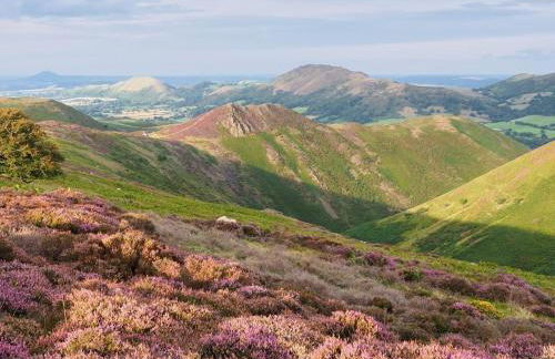 3 Bed in Ellesmere oc-94419 - Foto 32