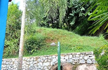 Angra Praia do Café - Foto 36