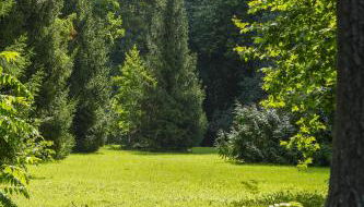 Château du Loroux - Photo 5, Garden
