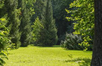 Château du Loroux - Photo 17