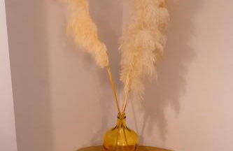 Château de l'insolas - Photo 77