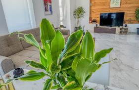 Villa castros delmare - Photo 72