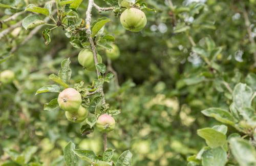 Haus Afaldra - Foto 23