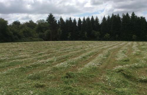 Charming 2-Bed Cabin in Domfront-en-Poiraie - Foto 25