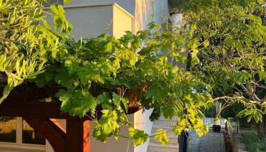 Apartments Curnić - Photo 2