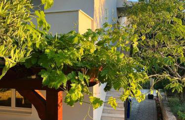 Apartments Curnić - Photo 2