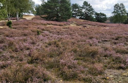 Apartment Wohnung in Jameln mit Garten- Grill und Terrasse by Interhome - Foto 37