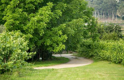 Quinta de Lourosa - Foto 10