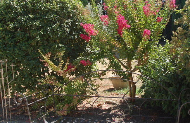 Camargue Modern Retreat - Foto 21