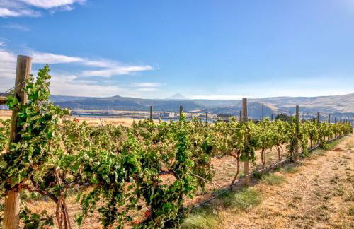 Grapevine Lodge - Foto 1