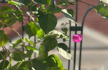 Varandas do Marquês - Foto 47