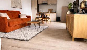 Appartement Centre ville Le blanc - Foto 2