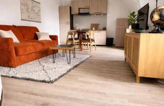 Appartement Centre ville Le blanc - Foto 2