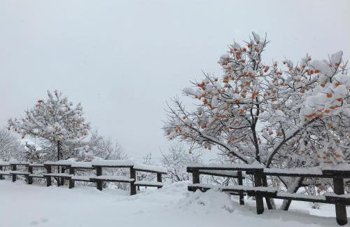 Verger Plein Soleil di Piero - Foto 19