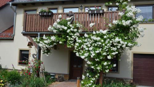 Ferienappartements "Landromantik" - Foto 5