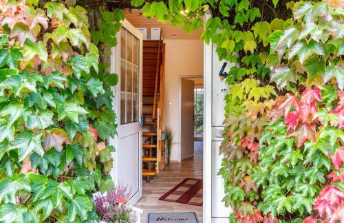 Menschen Meehr und wilder Wein - Foto 31