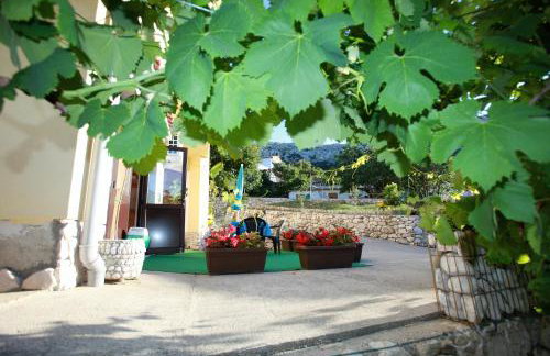 Apartments Sersic - Photo 29