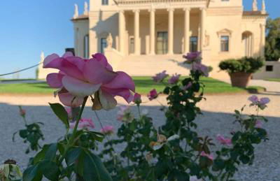 Alloggio La Perla, quiete ed eleganza con vista - Foto 46