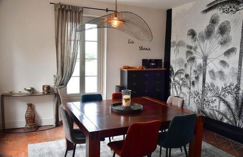 Les sternes de st Mathurin sur Loire , terrasse sur la Loire - Photo 23