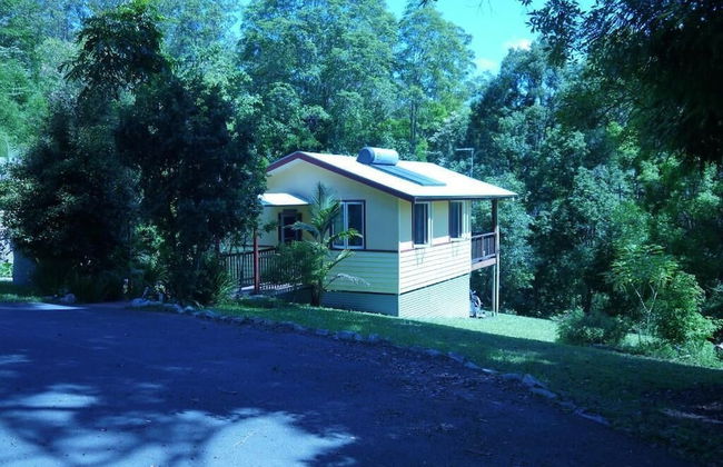 Teretre Cabins Nimbin - Foto 30