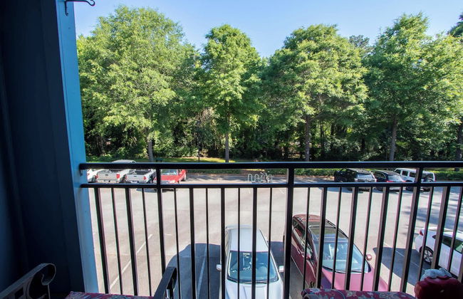 Low Country Dawg House Stunning Walking Trails! - Foto 19