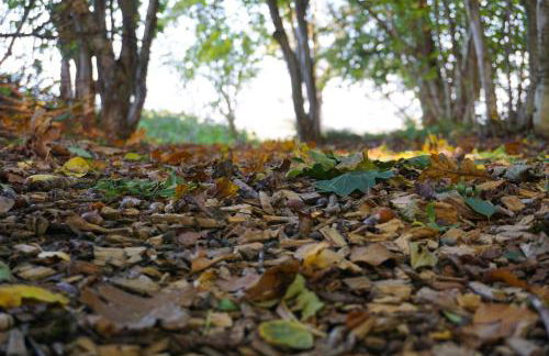 5Sterne Ferienwohnung im Fachwerk mit Bergblick in Alleinlage und großem Garten, Infrarotkabine - Foto 58