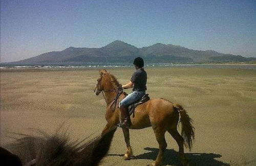 Pebble Creek Apartment - Foto 41