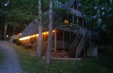 Bearly Behavin - Foto 77