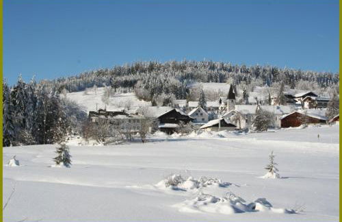 "Das Jagdhaus"- Chalet am Skigebiet mit Sauna - Foto 25
