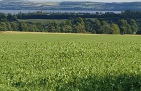 Westwood Cottage - Foto 37