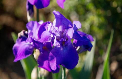 Rustic Charm, Modern Comfort - Foto 69