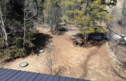 Abandoned Rail Cabin -19 miles to Breckenridge! Hot Tub! - Foto 48