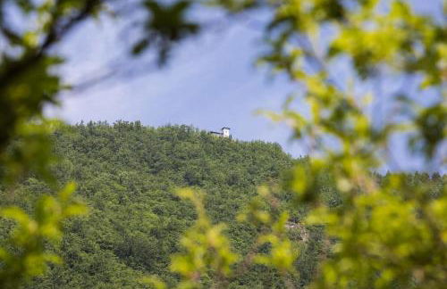 Podere Groppini - Foto 16