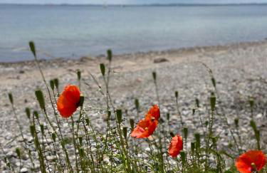 Thors Blockhaus - Foto 13