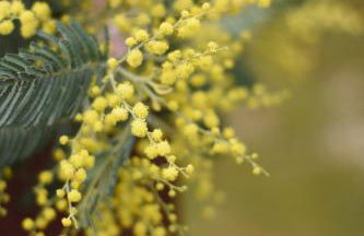 La Cachette du Lac Séjour nature et confort pour des souvenirs inoubliables - Foto 44