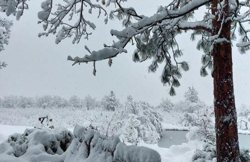 Cherry Heights - Foto 42